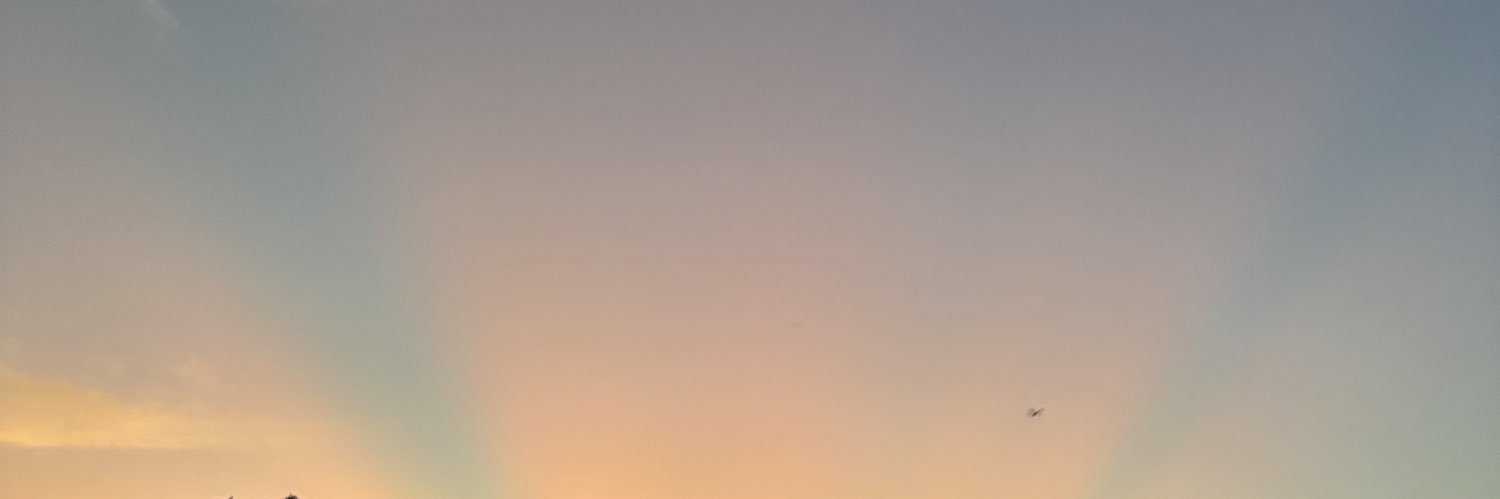 frknpaps's profile banner image