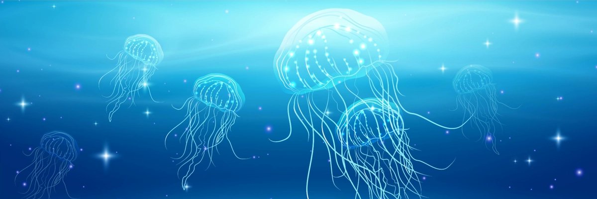hafadaida's profile banner image