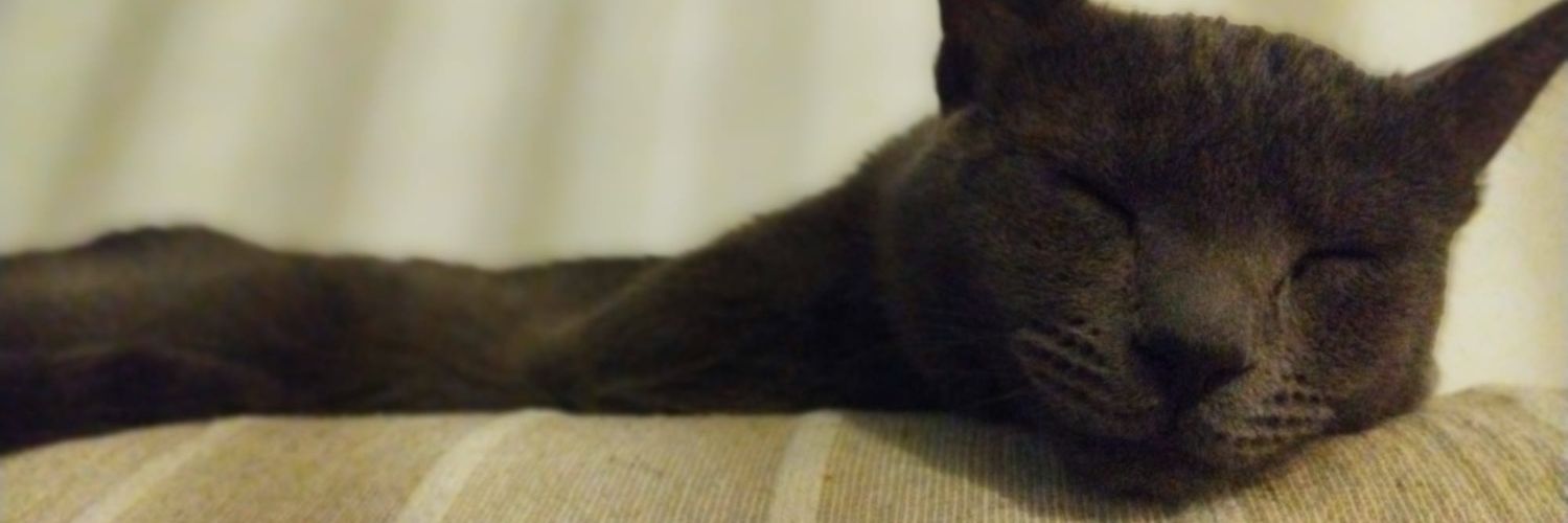 robertoalamo_'s profile banner image