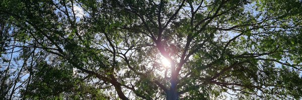 dounya_fattouh Profile Banner