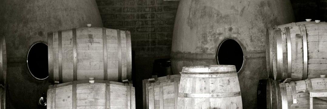 panchobugallo's profile banner image