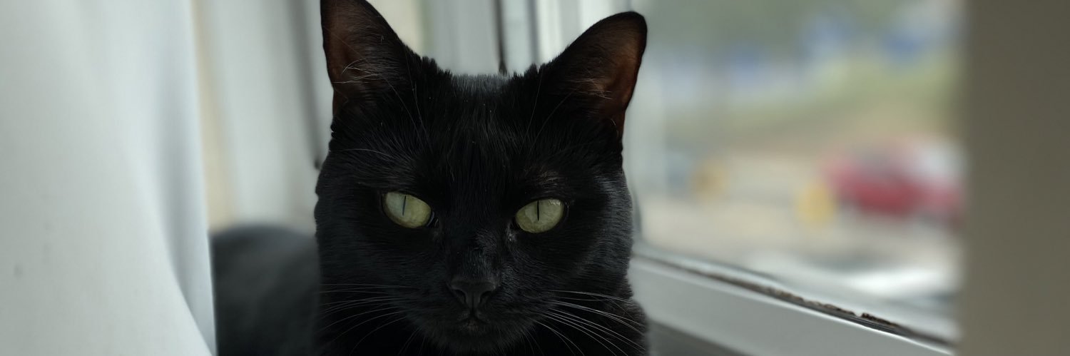 amyblanks_'s profile banner image