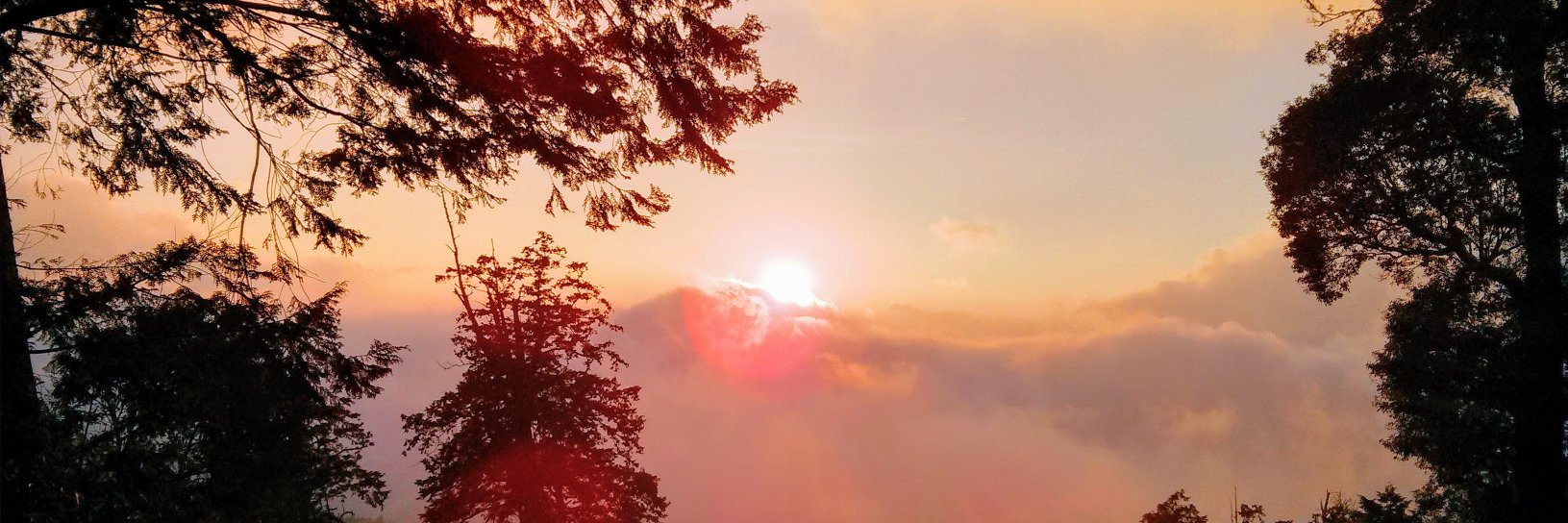 Philip Tovstogan banner