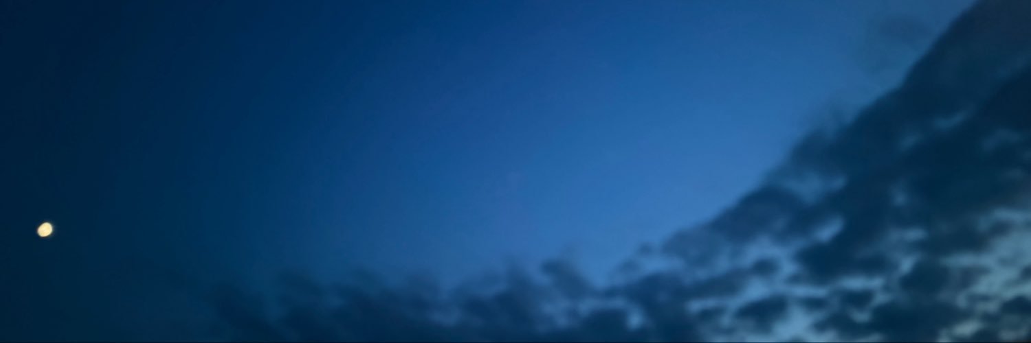 trintopia's profile banner image