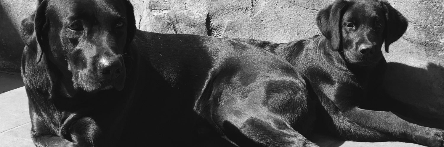 castellofelipe's profile banner image