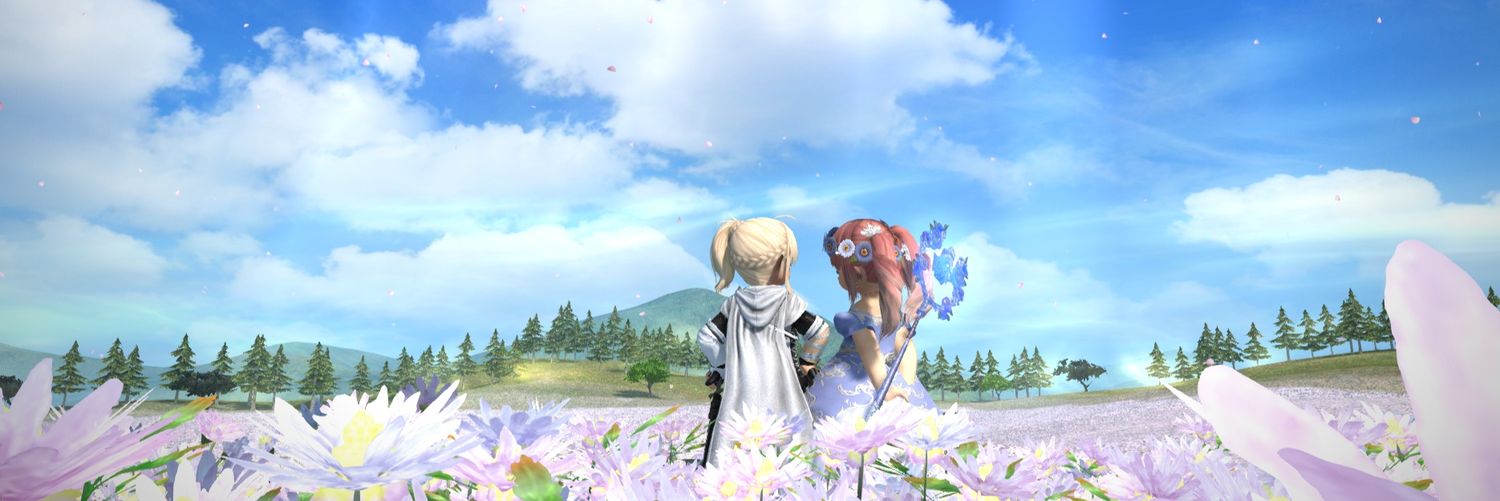 Awei banner