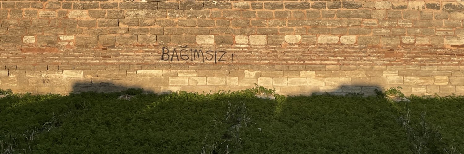Elif Ince banner