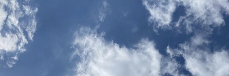 silviaagallard's profile banner image