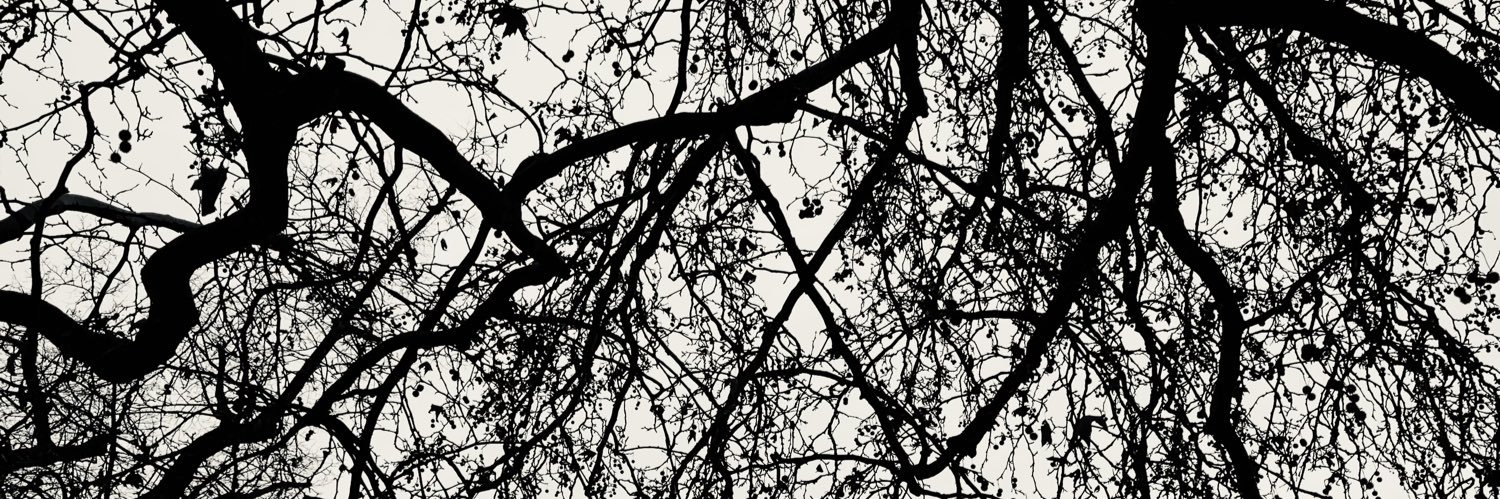 andreaacortesp's profile banner image