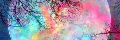 RoseLouisePierc's profile banner image