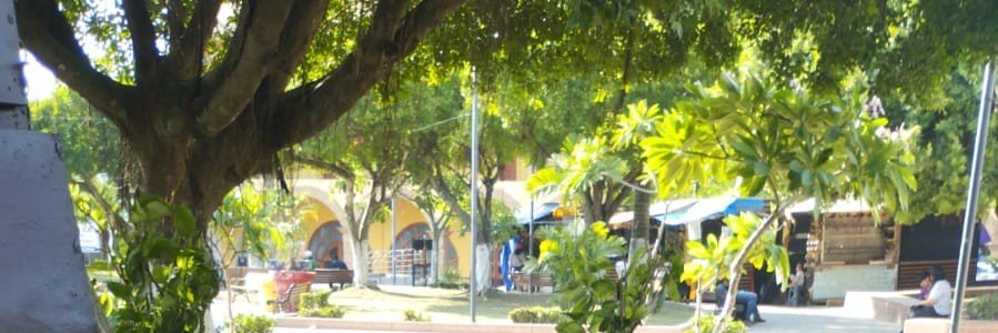 acayucansuit's profile banner image