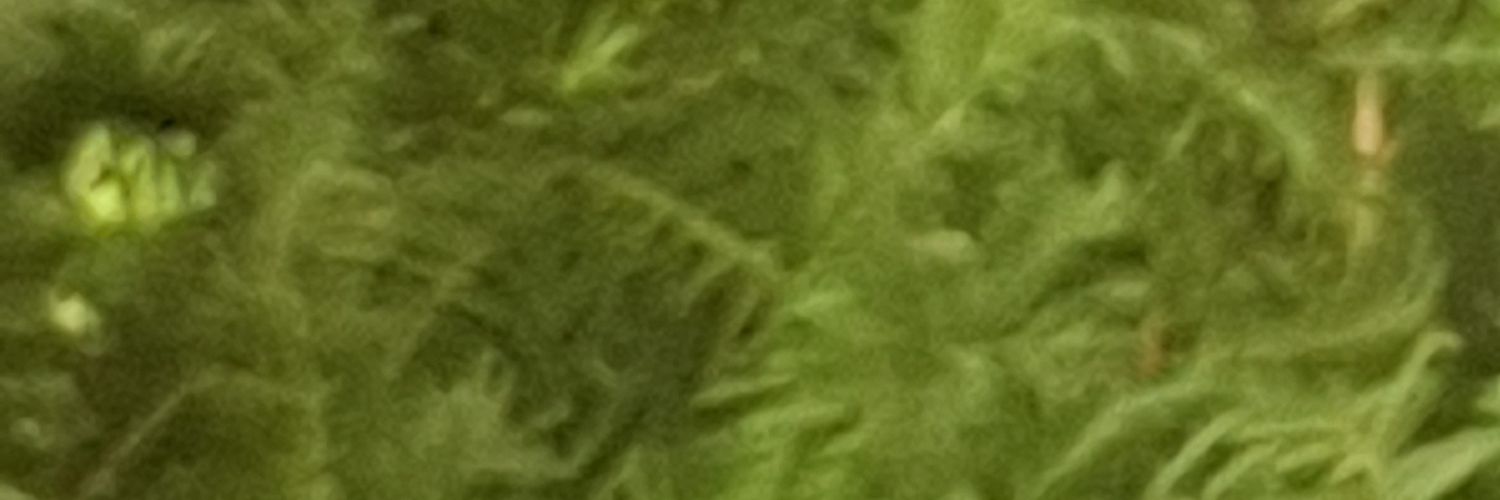 👣step-by-step banner