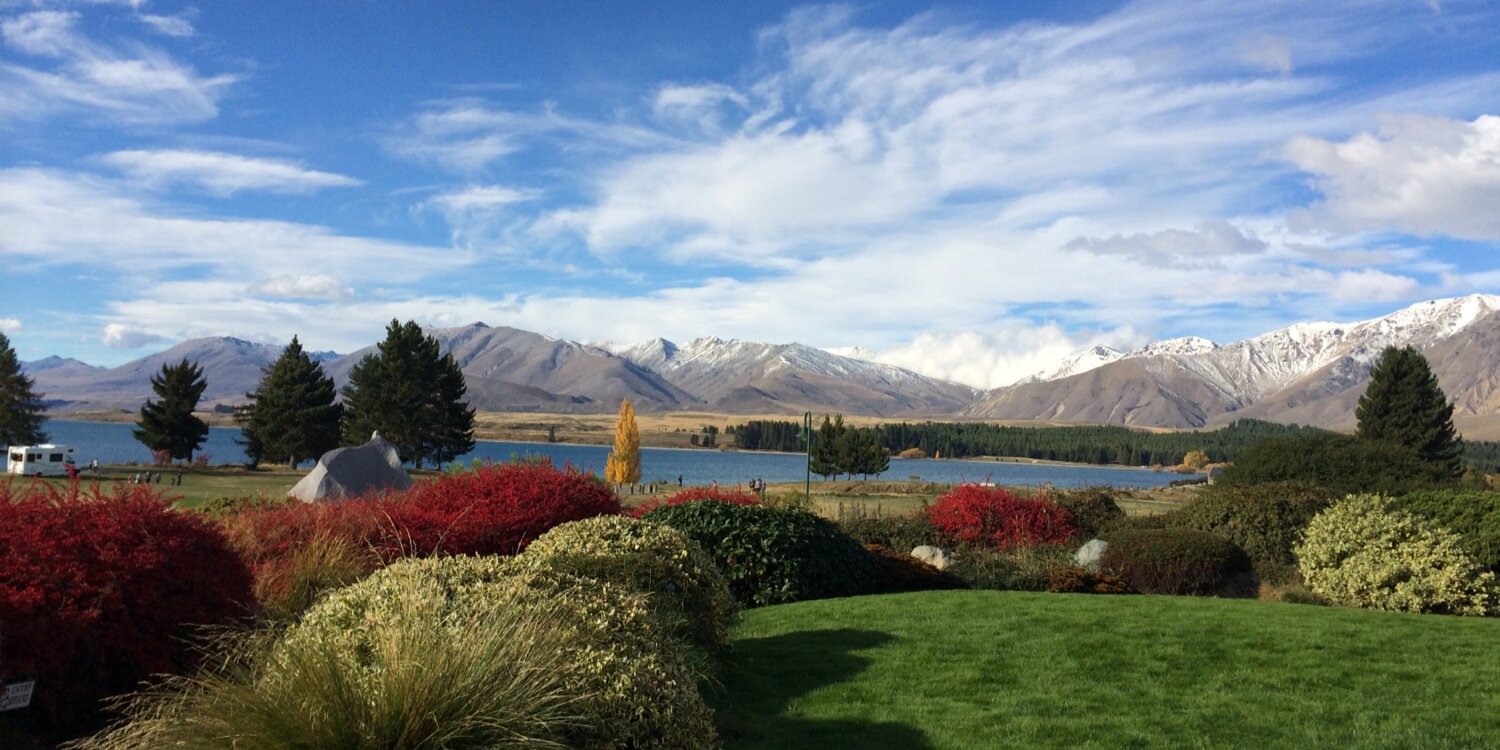 Squeegee Scott banner