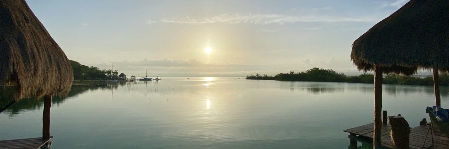 samanthasavin's profile banner image