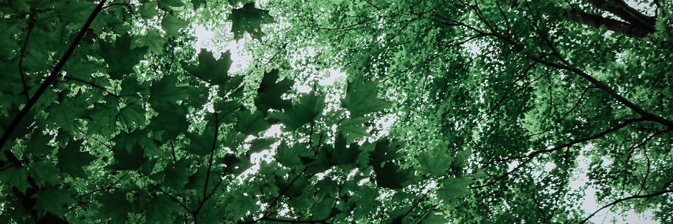 stepbackwards's profile banner image