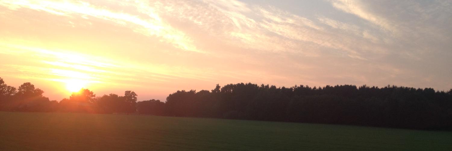 Gabi_Bischoff's profile banner image