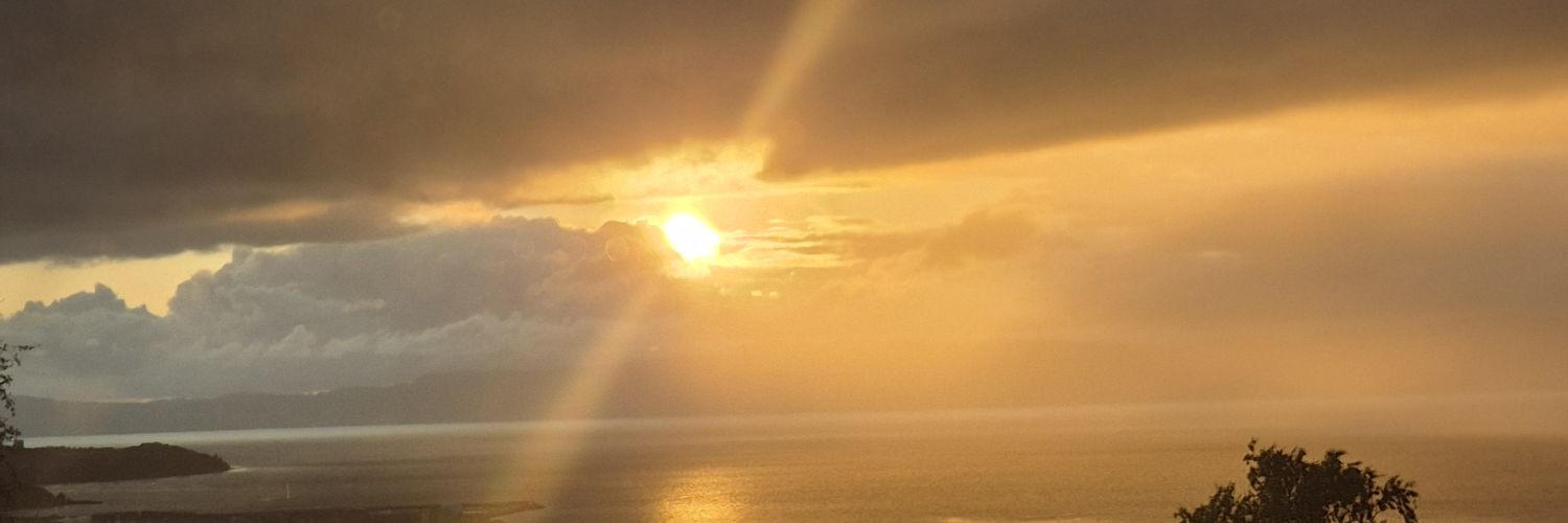 Marius Garte 🇳🇴 banner