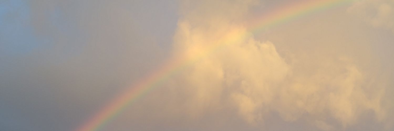 ro_pala's profile banner image