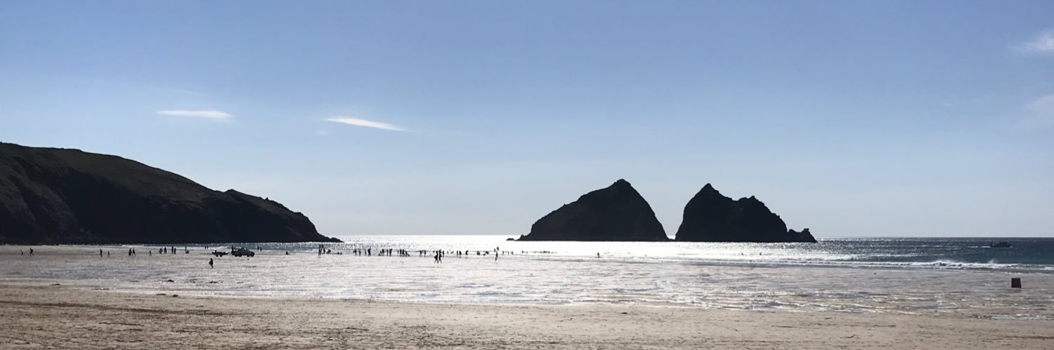 Prof Gareth Irwin, FISBS banner