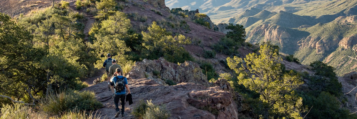 MadisonWickham's profile banner image