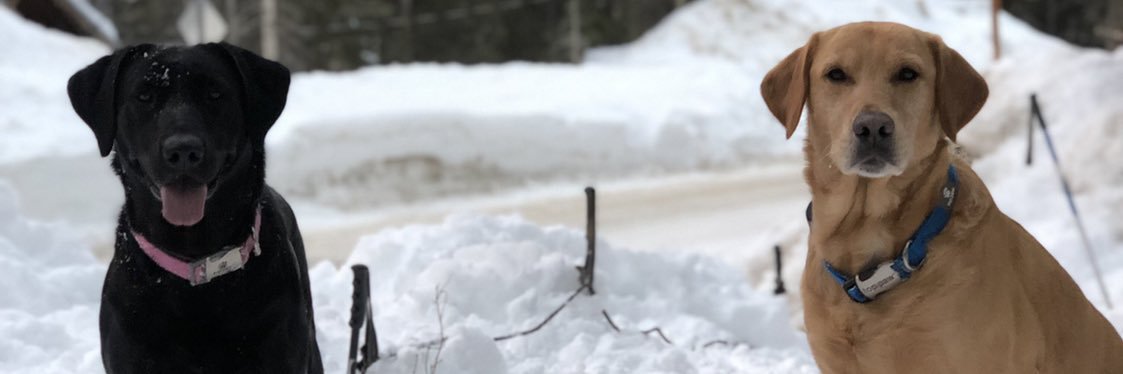 m_jonathannn's profile banner image