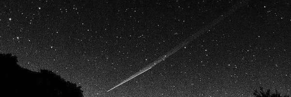 sashashadow Profile Banner