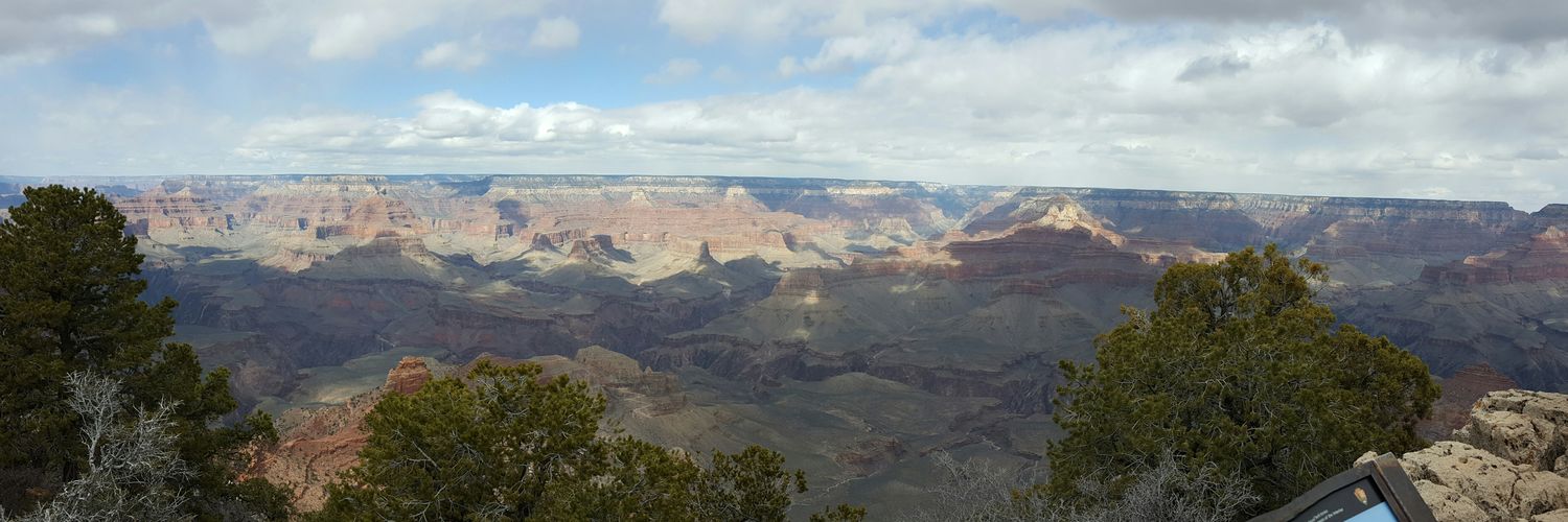 bradloff4's profile banner image