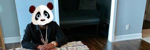 Defipanda1054's profile banner image