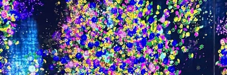 jaiden 🤍 banner