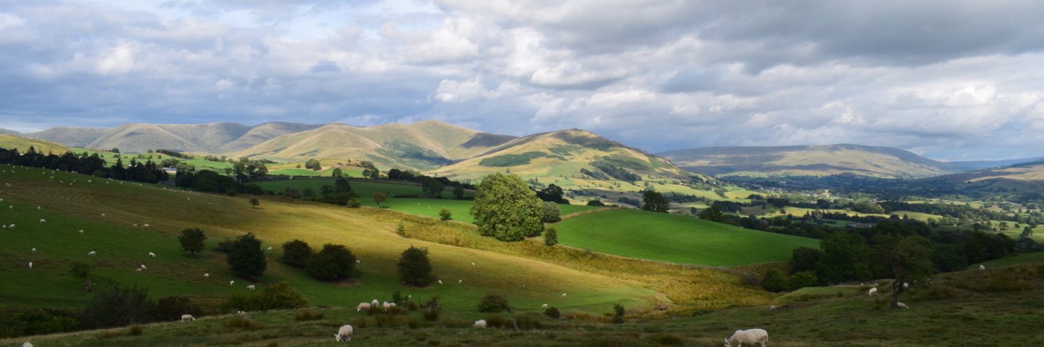 Dougie Bennett banner