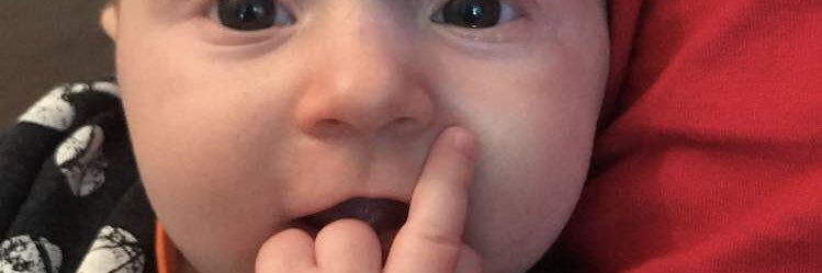 ryleeschmidt_7's profile banner image