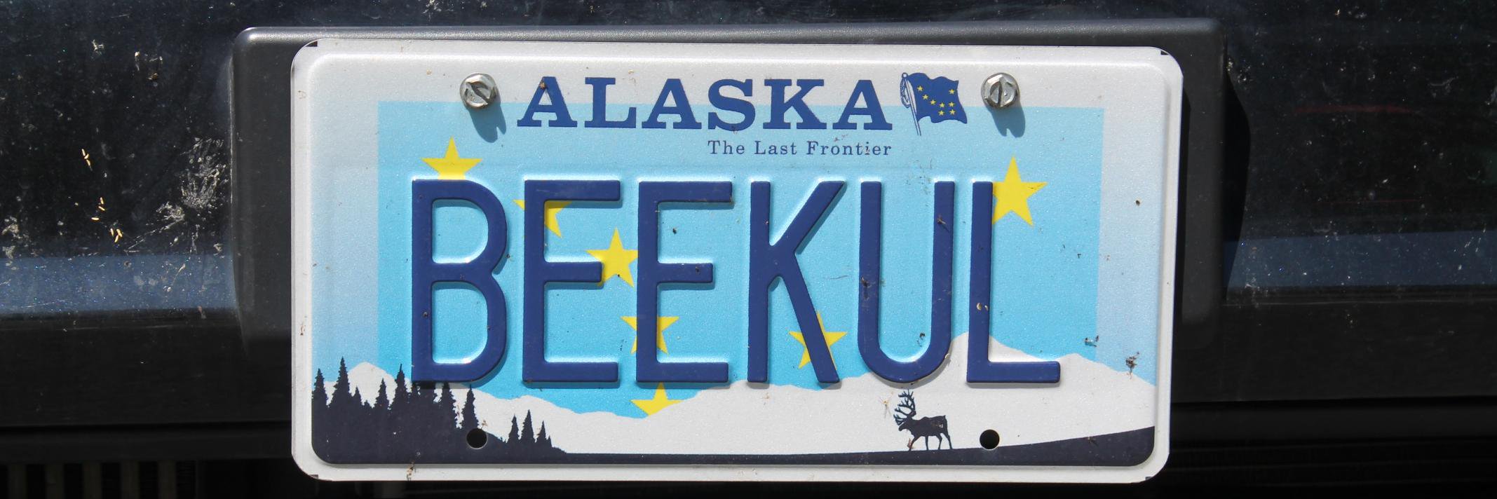 Alexx Mitchell banner