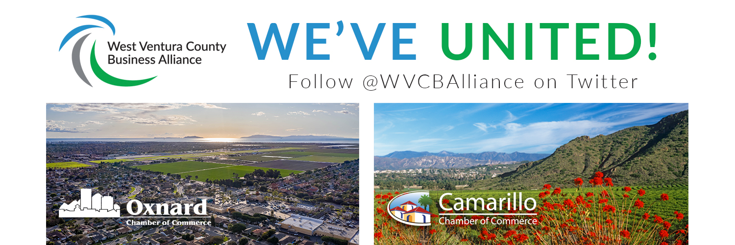 Camarillo Chamber banner