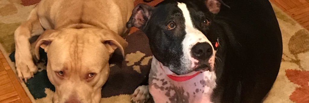 Teresa Hyatt Gott banner