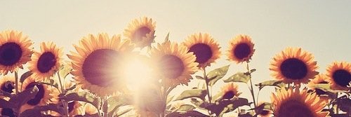 mglancy408's profile banner image