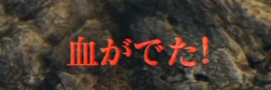 anima2323's profile banner image