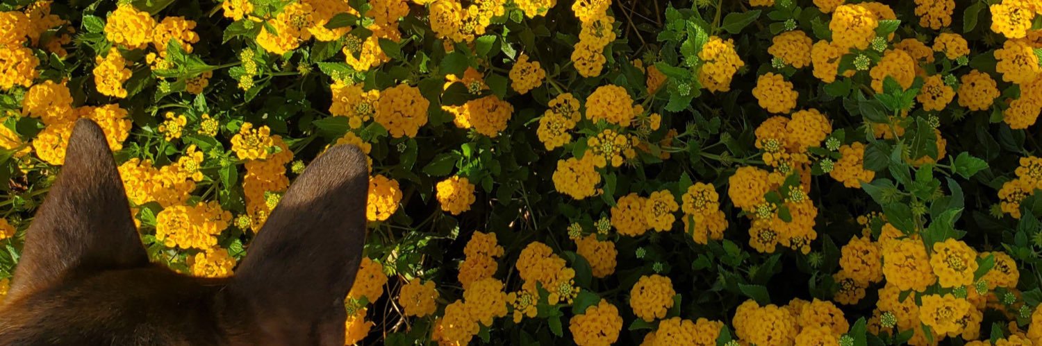 rickitonaa's profile banner image