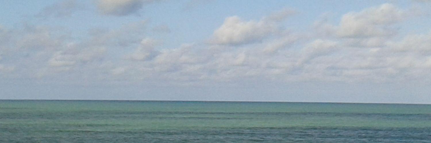 Velocirocker's profile banner image