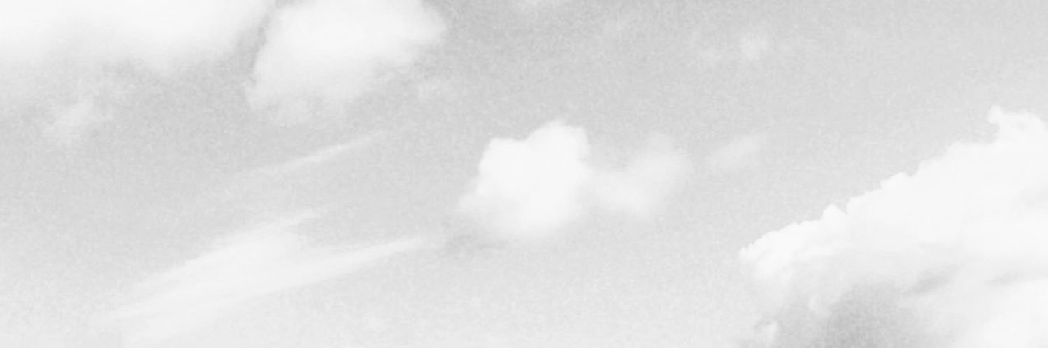 selena__cejas's profile banner image