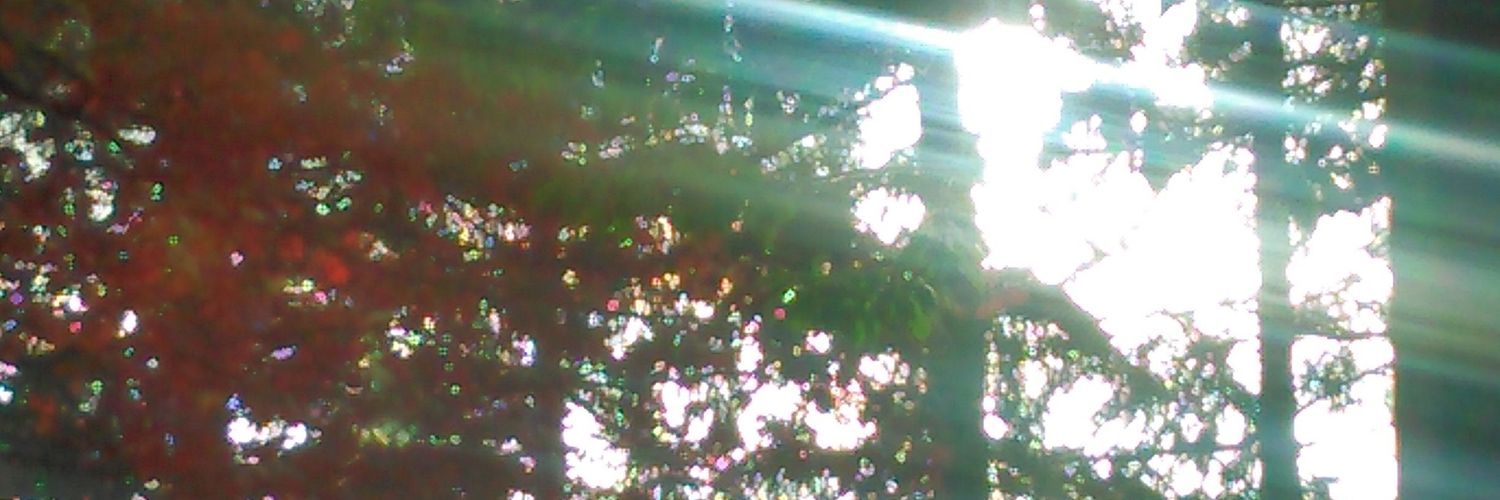 💀💀💀💀 banner