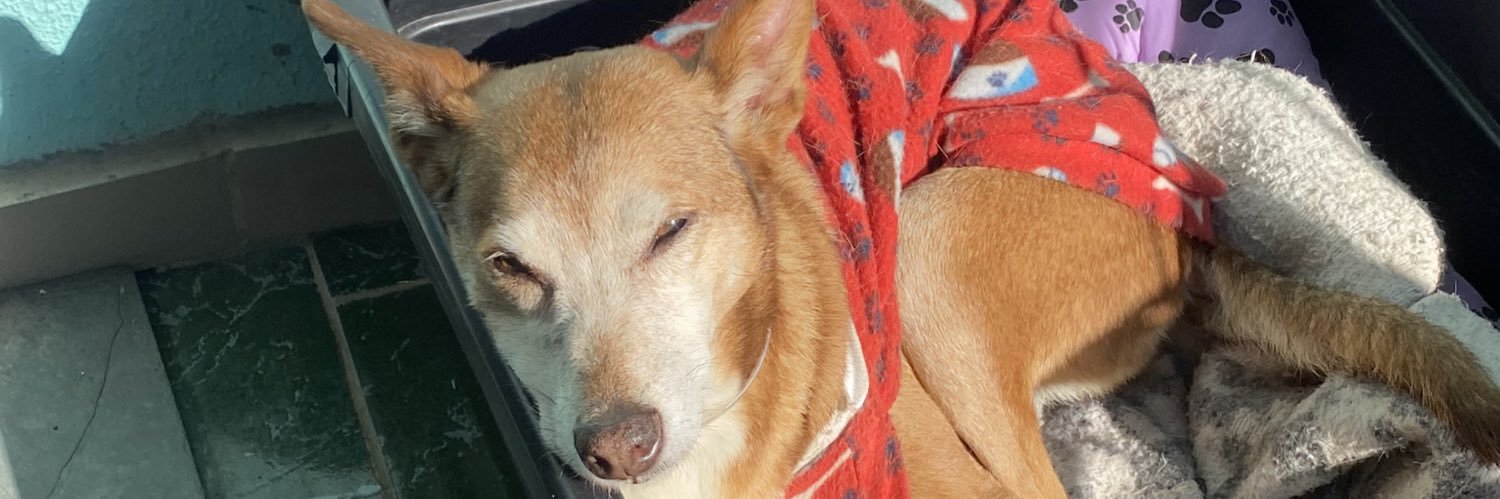 Dai ✊🏿✊🏾✊🏽 banner