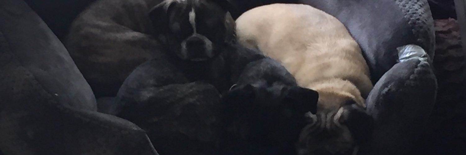 Bruce Balder-Lanoue banner