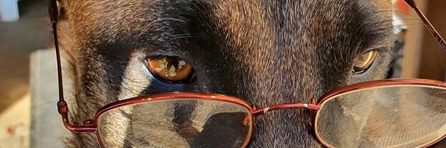 jmiche26's profile banner image