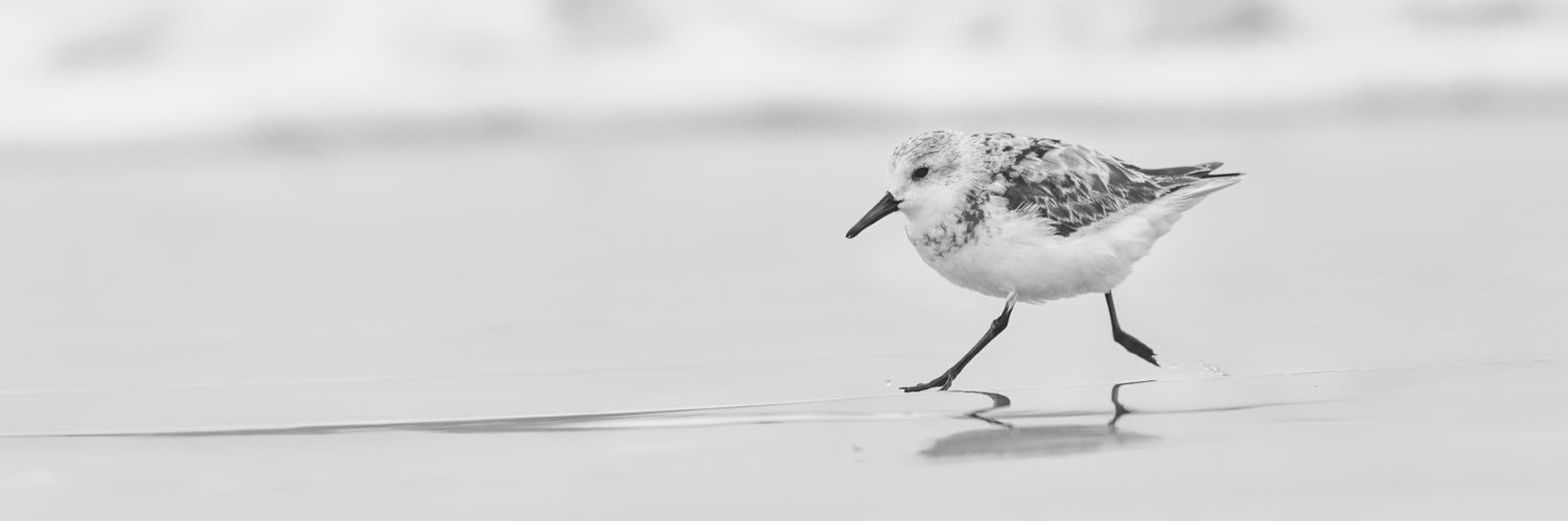 rodvalenz's profile banner image
