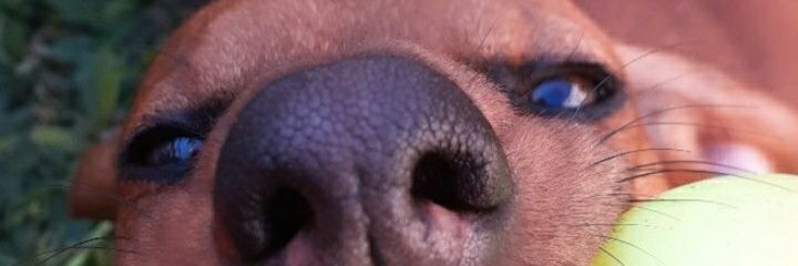 aixacancian's profile banner image