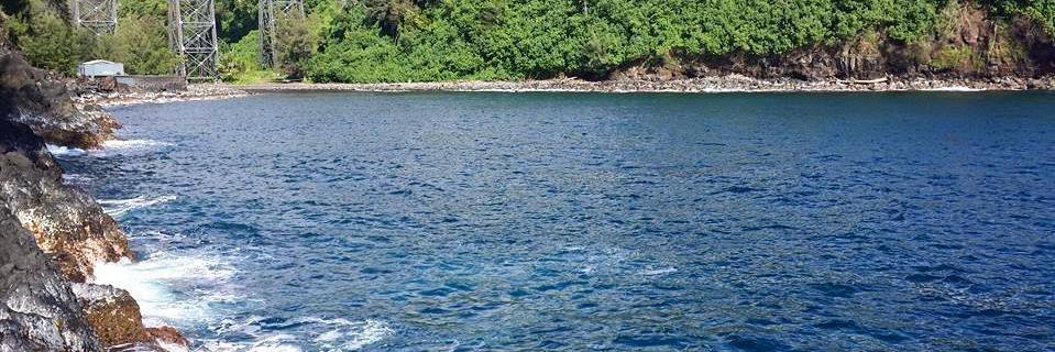 Scott D. Smith banner