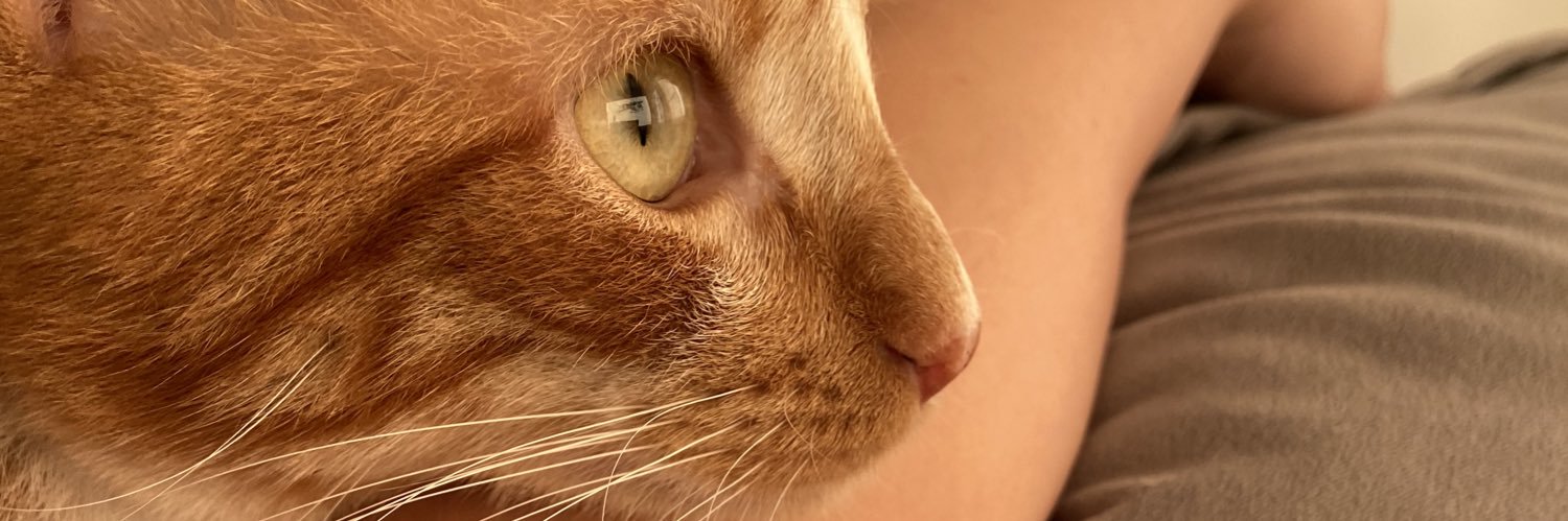 _isinhab's profile banner image