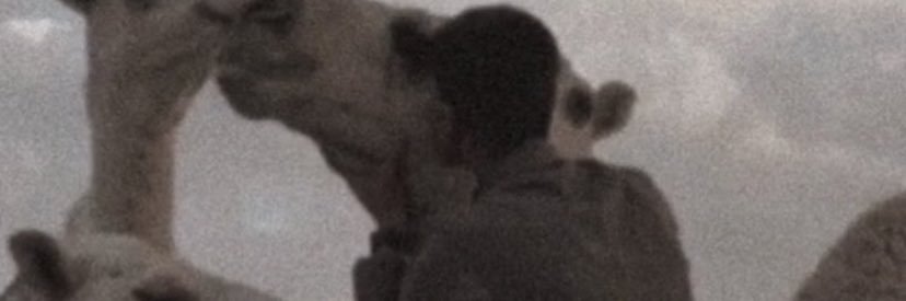 b1_b109's profile banner image