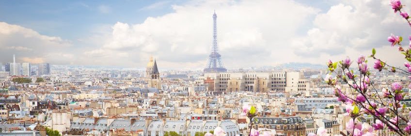 Maria Noelle banner