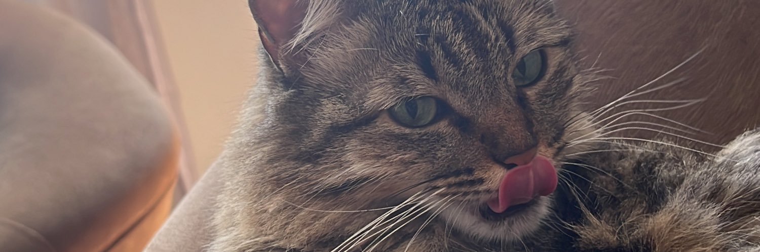 nandapralA's profile banner image